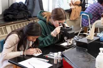 High-schoolers working on a chemistry project
