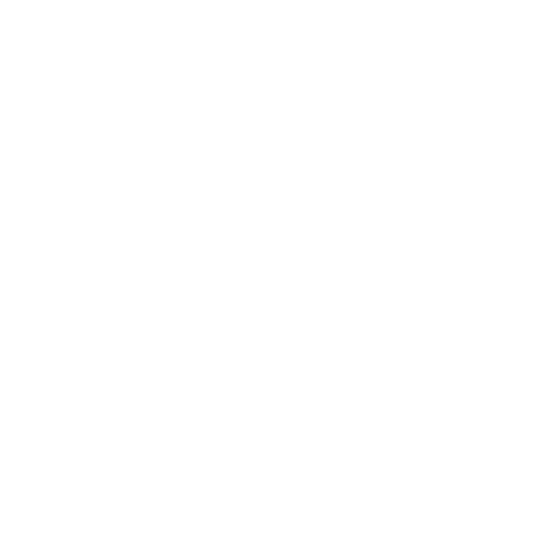 Support Dignity In Care