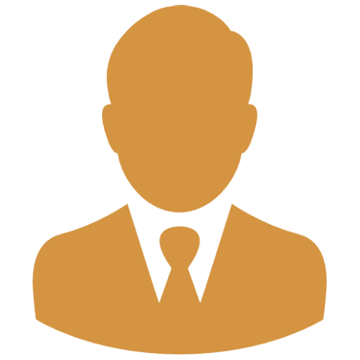Business Strategy Icon