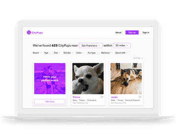 Best UI/UX Design Portfolios | Springboard