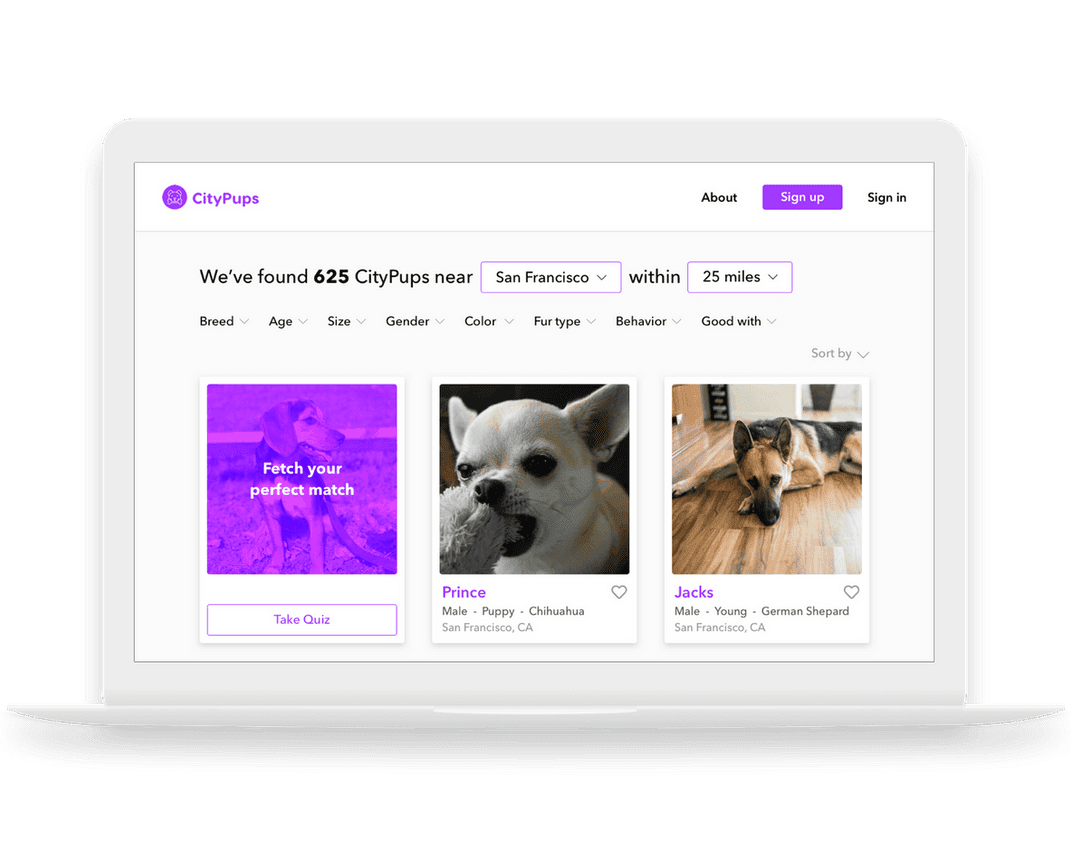 Best UI/UX Design Portfolios | Springboard