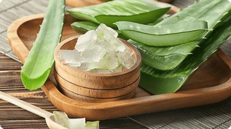 Beneficios del aloe vera