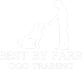 Best By Farr Dog Training In Raleigh, North Carolina