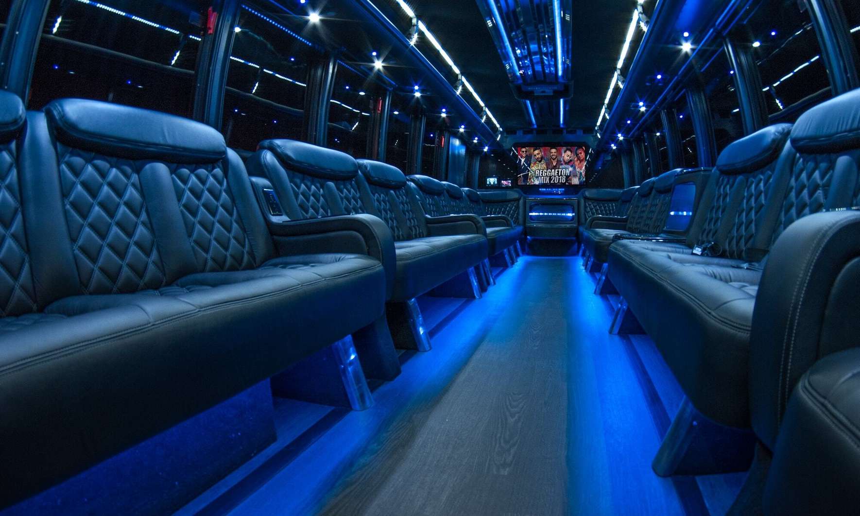 14 Passenger Party Bus