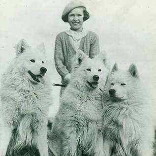 samoyed history