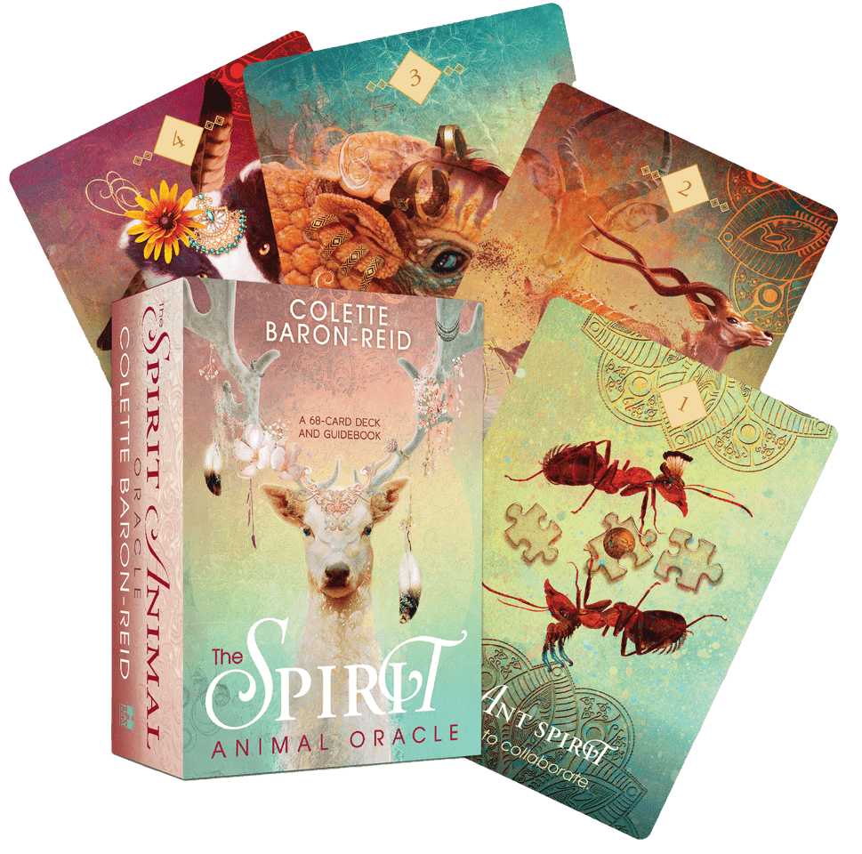 Pick a Card to Get A Free Card Reading Using Hay House Oracle and Tarot