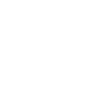 Governor's Council