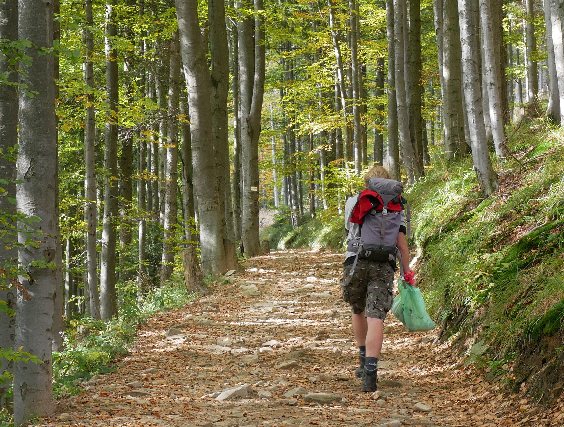 Hiker carrying a green rubbish bag while walking along a trail