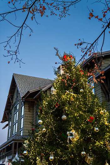 Holiday decorations and outdoor atmosphere at the Greenville Christmas Market