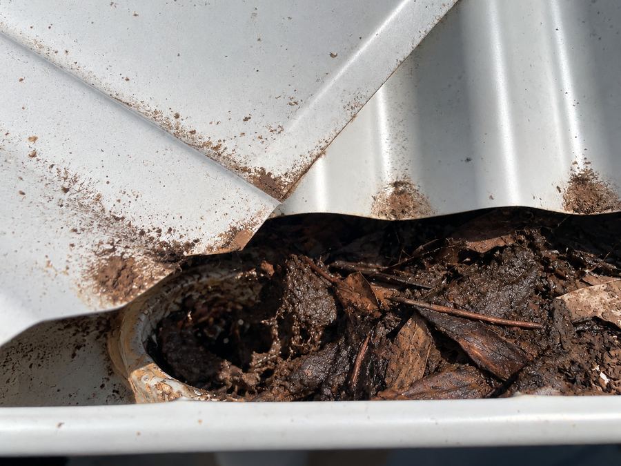 Gutter and downpipe outlet clogged with wet, muddy leaf sludge under a white corrugated roof