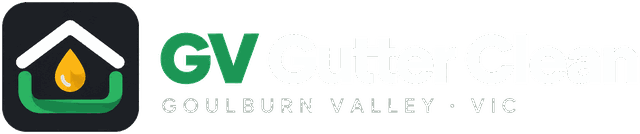GV Gutter Clean
