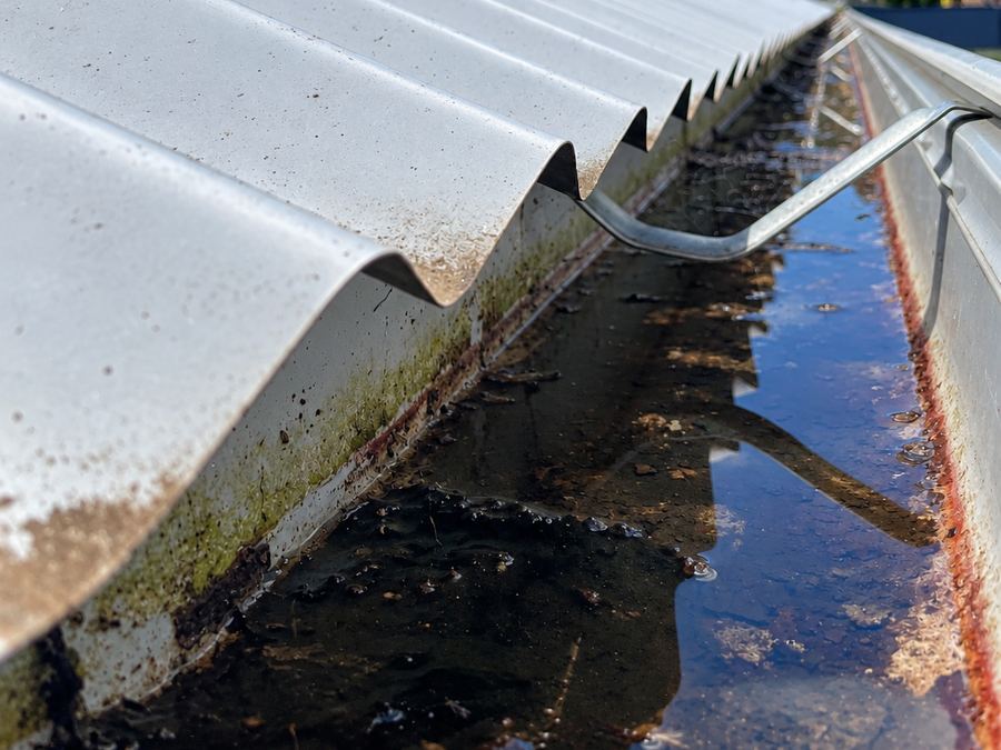 Stagnant water sitting in a roof gutter that isn't draining