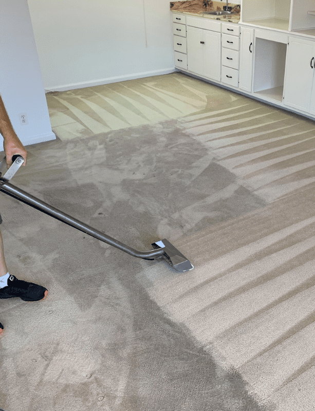 Hibbard Island Carpet & Tile Cleaning