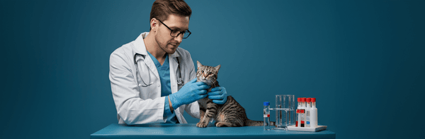 Pet Blood Test