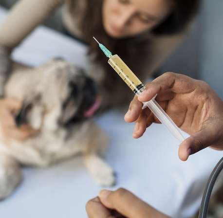 Vaccination