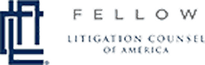 Meta-Logo