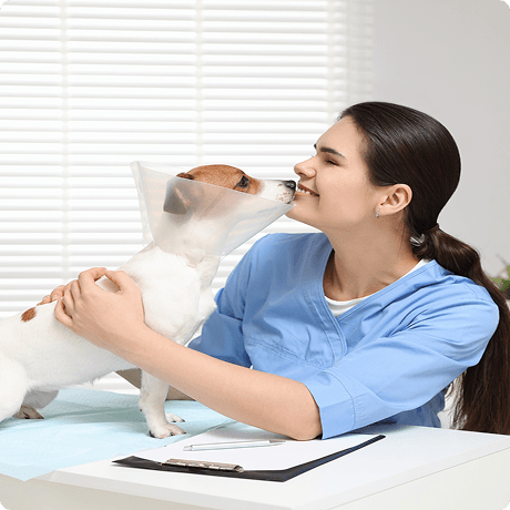 Esterilización MAPFRE