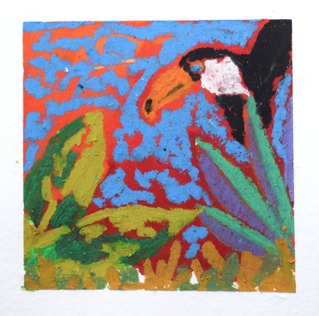 Tropical tucan by Mary Claire McCallum