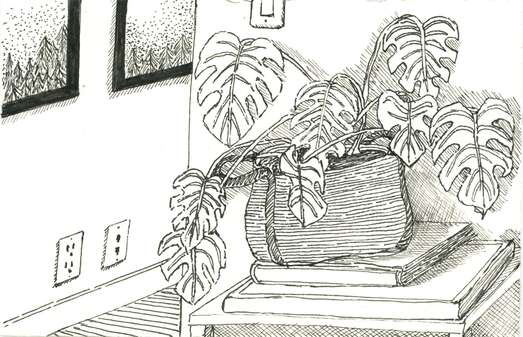 Apartment plant by Mary Claire McCallum