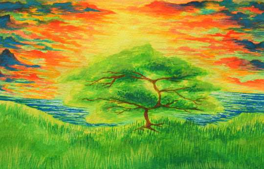 Tree sunset by Mary Claire McCallum
