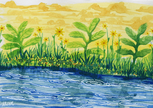 Costaricelake print postcard by Mary Claire McCallum