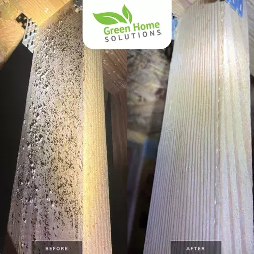 Green Home Solutions Mold Removal Services