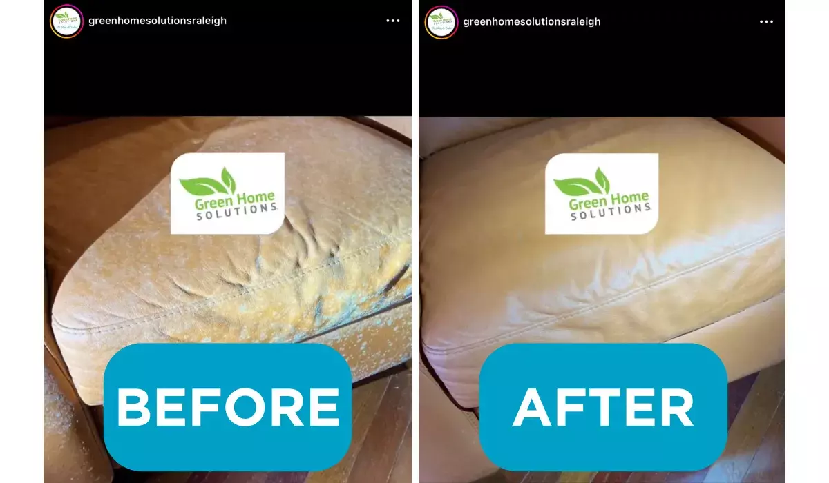 Green Home Solutions Raleigh Mold on Leather