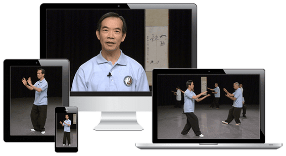 Tai Chi - The 24 Forms | Online Video Lessons | Dr Paul Lam