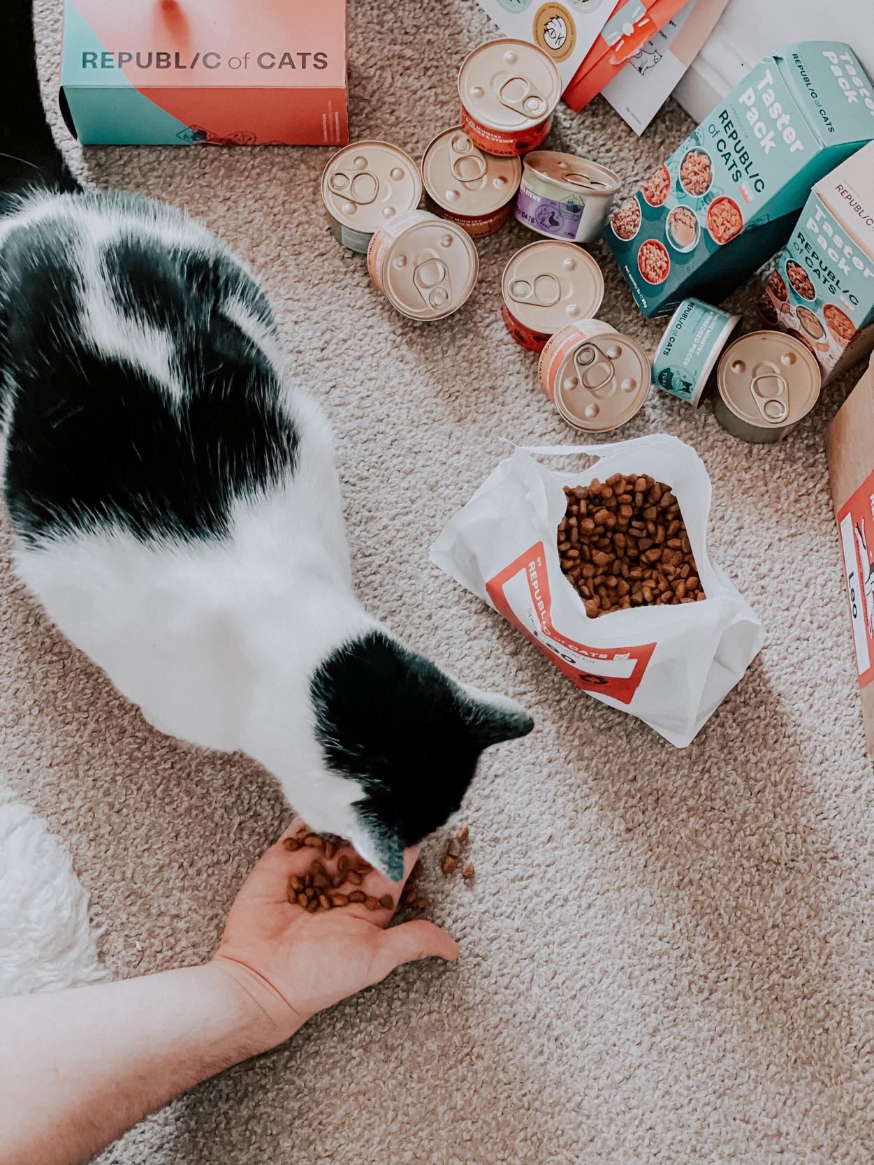 Republic of Cats Our Food