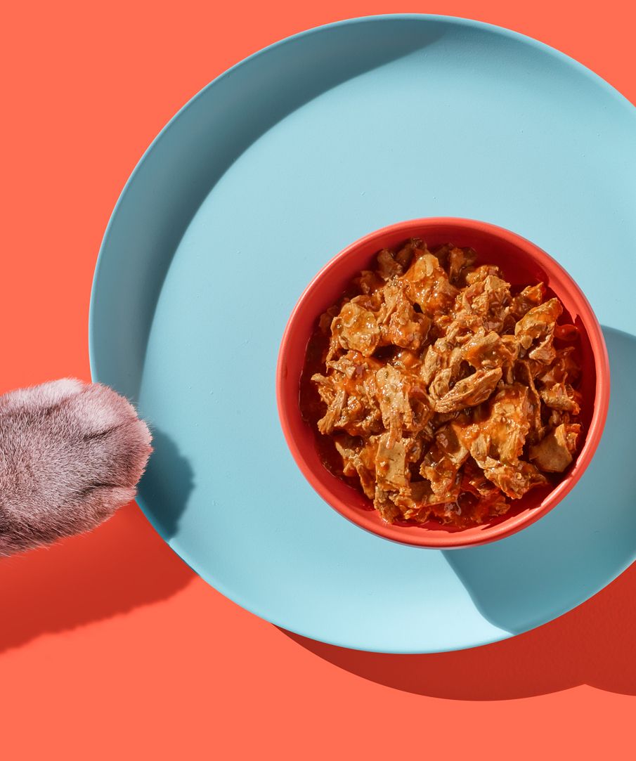 Republic of Cats Our Food