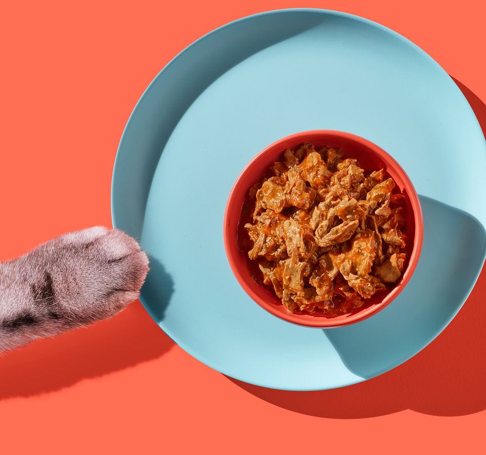 Republic of Cats Our Food