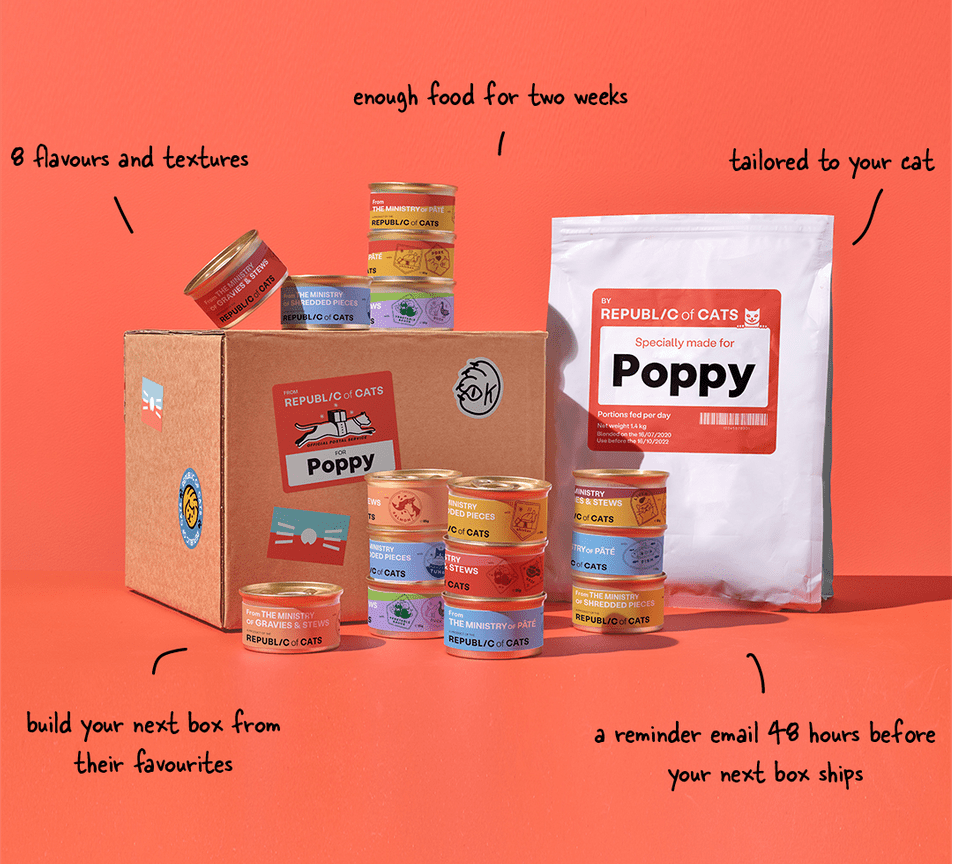 Republic of Cats Tailored cat food without the hassle