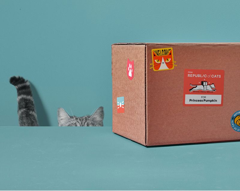 Republic of Cats Our Products