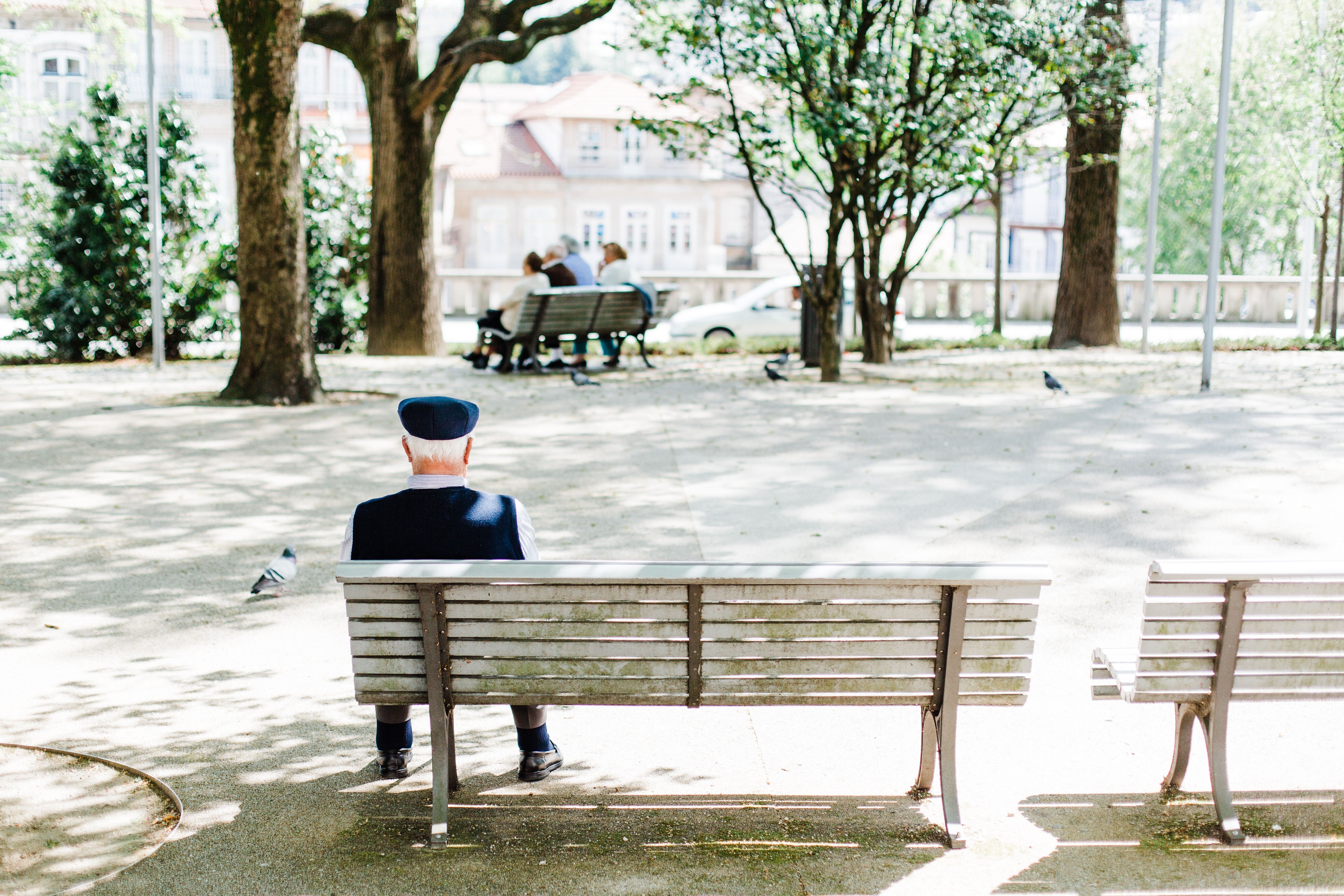 park with aged person on bench