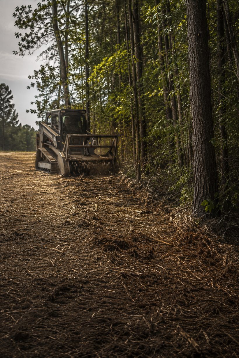 Forestry mulcher clearing timber at the tree line in low golden light