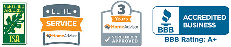 ISA Certified Arborist · HomeAdvisor Elite Service · BBB Accredited