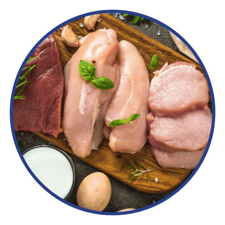 L Carnitine Amino Acid For Weight Management