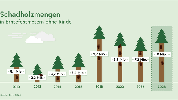 Rund 32 Prozent der gesamten österreichischen Holzernte waren 2021 Schadholz. 