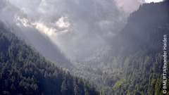 Foto: Waldbrandprävention