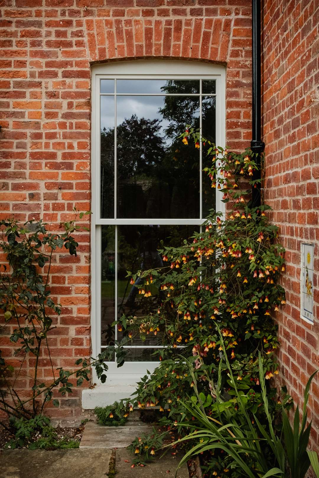 Sash Windows London | New, Repair or Replace