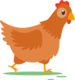 Die Illustration zeigt eine Henne