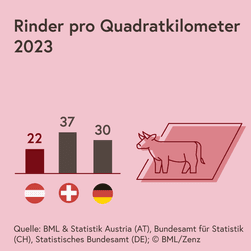 Die Grafik zeigt die Anzahl von Rindern pro Quadratkilometer im Jahr 2023 in Österreich, in der Schweiz und in Deutschland: in Österreich waren es durchschnittlich 22, in der Schweiz 37 und in Deutschland 30.