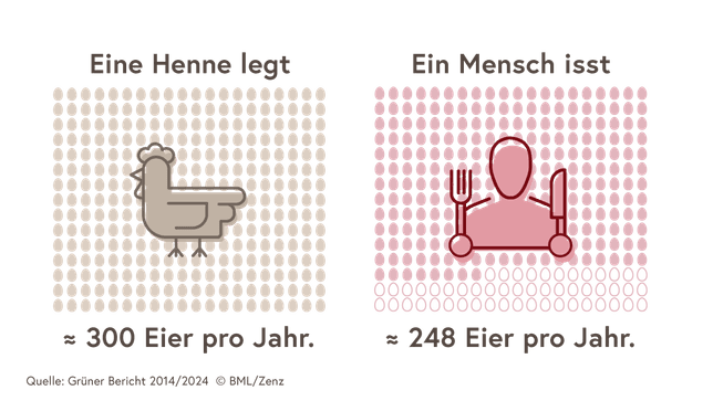 Die Grafik zeigt dass eine Henne 300 Eier im Jahr legt und ein Mensch 248 Eier pro Jahr isst. 