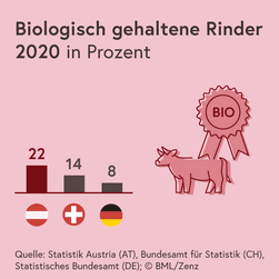 Die Grafik zeigt den Anteil der biologisch gehaltenen Rinder im Jahr 2020  in Österreich, in der Schweiz und in Deutschland: in Österreich waren es 22 %, in der Schweiz 14 % und in Deutschland 8 %.