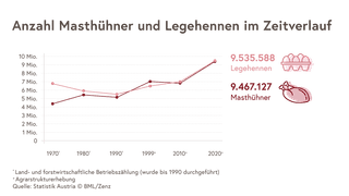 Die Grafik zeigt die Anzahl der Masthühner im Vergleich mit Legehennen. 