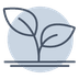 Das Bild zeigt ein Keimling-Icon